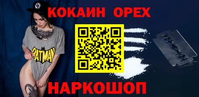 гашик Кингисепп