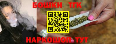 гашик Кингисепп