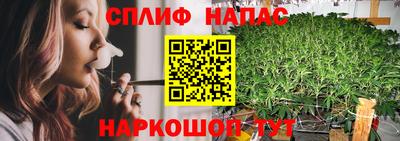 СК Кинель