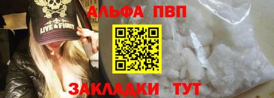 гашик Кингисепп