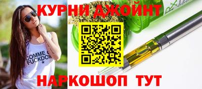 гашик Кингисепп