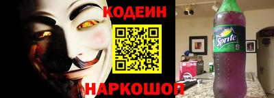 гашик Кингисепп