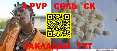 гашик Кингисепп